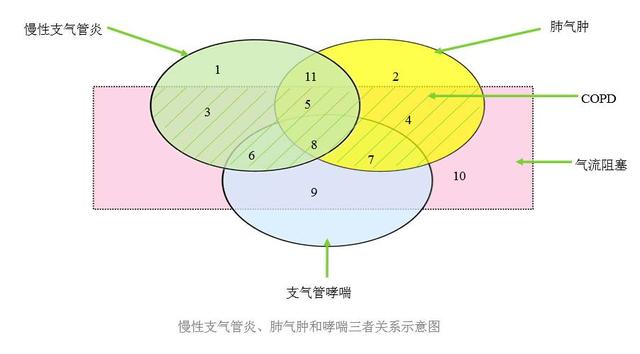 &#21326;&#20307;&#20250;&#20307;&#32946;&#45;&#21326;&#20307;&#20250;&#40;&#20013;&#22269;&#41;