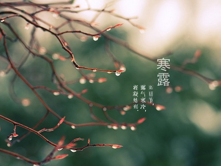 &#21326;&#20307;&#20250;&#20307;&#32946;&#45;&#21326;&#20307;&#20250;&#40;&#20013;&#22269;&#41;