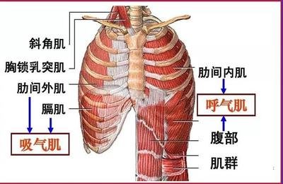 &#21326;&#20307;&#20250;&#20307;&#32946;&#45;&#21326;&#20307;&#20250;&#40;&#20013;&#22269;&#41;