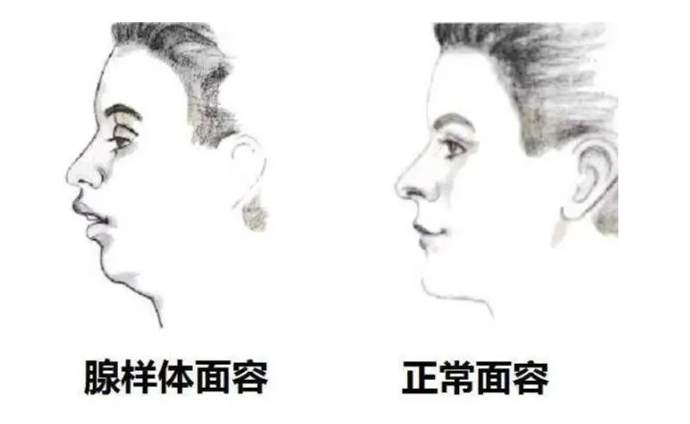 &#21326;&#20307;&#20250;&#20307;&#32946;&#45;&#21326;&#20307;&#20250;&#40;&#20013;&#22269;&#41;