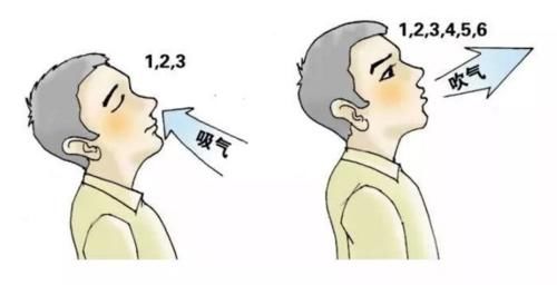 &#21326;&#20307;&#20250;&#20307;&#32946;&#45;&#21326;&#20307;&#20250;&#40;&#20013;&#22269;&#41;