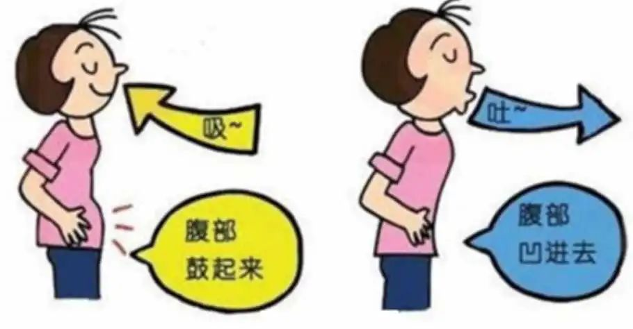 &#21326;&#20307;&#20250;&#20307;&#32946;&#45;&#21326;&#20307;&#20250;&#40;&#20013;&#22269;&#41;