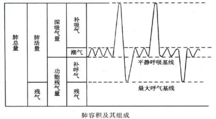 &#21326;&#20307;&#20250;&#20307;&#32946;&#45;&#21326;&#20307;&#20250;&#40;&#20013;&#22269;&#41;