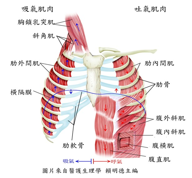 &#21326;&#20307;&#20250;&#20307;&#32946;&#45;&#21326;&#20307;&#20250;&#40;&#20013;&#22269;&#41;